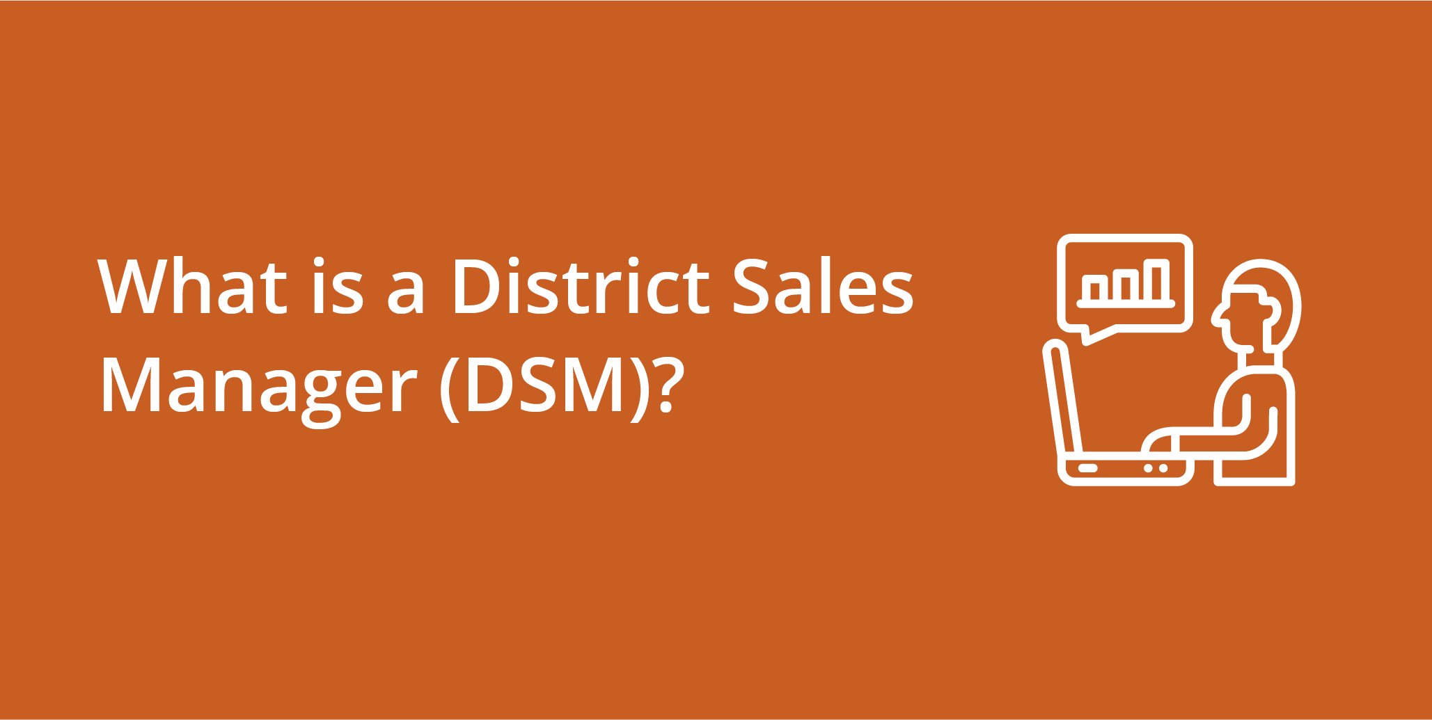 District Sales Manager DSM 